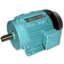 Crompton Three Phase 1 hp AC Motors_0