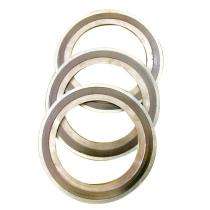 Technoseal Stainless Steel 10 - 45 mm Spiral Wound Gaskets_0