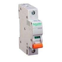 Schneider Electric Single Pole 10 A C MCB_0