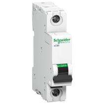 Schneider Electric Single Pole 4 A C MCB_0
