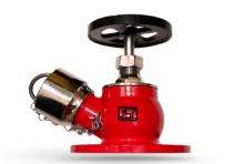 SK Valves Stainless Steel Single Outlet Hydrant Valves_0