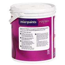 Asian Paints Smoke Grey Acrylic Emulsion Paints 5 L_0