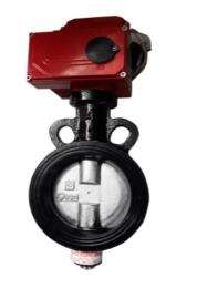 100 mm Actuator CI Butterfly Valves Flanged Q-79/80/EA_0
