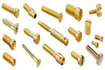 Shreeji Hex Head Self Drilling Screw Brass Zinc Plated_0