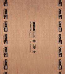 CENTURYPLY 12 mm Waterproof and Anti-Termite Plywood 2440 x 1220 mm_0