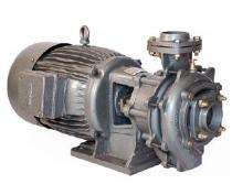ANSON 2 hp 2800 rpm Monoblock Pumps_0