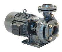 ANSON 1 hp 2500 rpm Monoblock Pumps_0