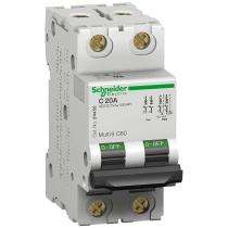 Schneider Electric Three Pole 2 A C MCB_0