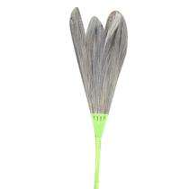 Galaxy Dry Grass Floor Broom 115 cm Green_0