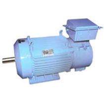 Kirloskar Three Phase 250 hp AC Motors_0
