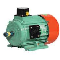 Kirloskar Three Phase 250 hp AC Motors_0
