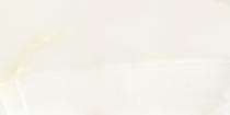 Blackberry SR BZ 3020 600 x 600 mm White Glossy Ceramic Tile_0