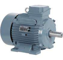 HAVELLS Three Phase 455 hp AC Motors_0