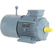 HAVELLS Three Phase 30 hp AC Motors_0