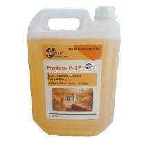 Prailam Liquid Cleaners P-17 Surface_0