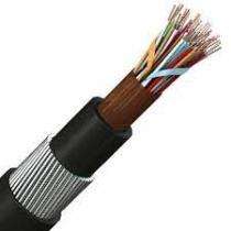 10 Core XLPE Armoured Control Cables_0