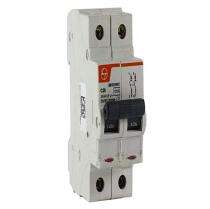 L&T Double Pole 40 A C MCB_0