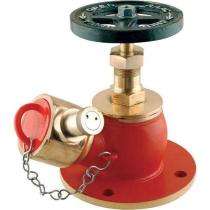 Safetap Mild Steel/Stainless Steel Double Headed Hydrant Valves_0