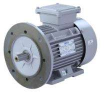 IMPEL 1440 rpm Three Phase 10 hp Foot and Flange Mounted AC Motors_0