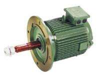 HMM Three Phase 30 hp Foot and Flange Mounted AC Motors_0