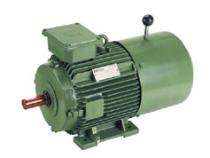 HMM Three Phase 20 hp AC Motors_0