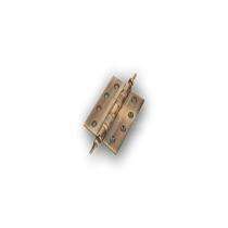 Apollo Brass Door Hinges_0