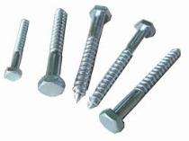 Coach Screw M5 - M10 4.6 , 8.8_0