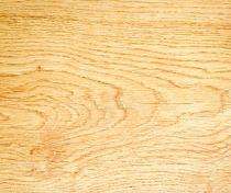 CENTURYPLY 19 mm Sainik Plywood 2438 x 1219 mm_0