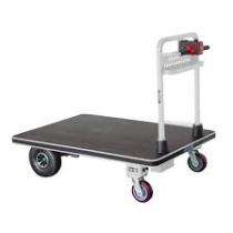150 kg Electric Trolley 800 W_0