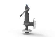Flammer Spring Type Safety Valve Safety Valve 1 inch 9 Series_0