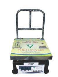 VIJEN DIGI Platform Electronic Weighing Scale 200 kg EPF Bench Series_0