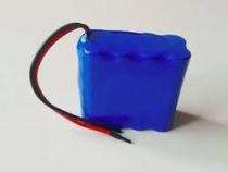 Jascon 5 Ah 12 V Lithium Ion Batteries_0