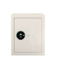 Godrej Steel Biometric Safety Lockers 40 L_0