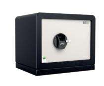 Godrej Steel Biometric Safety Lockers 30 L Ritz Biometric_0