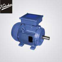 Three Phase 10 hp AC Motors_0