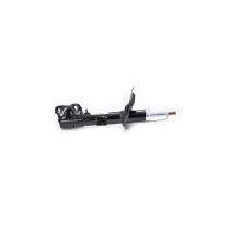 WINGER 2.0L 284532110104 Shock Absorber Front Left AM-SG01474_0