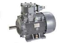 Single Phase 7 hp AC Motors_0