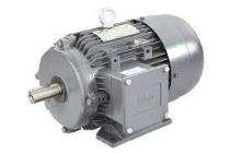 LHP Three Phase 476 hp AC Motors_0