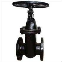 Suraj Manual CI Sluice Valves 80 mm_0
