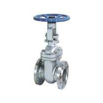 TRAIT DN 50 mm Manual Gate Valves_0