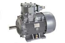 LHP Three Phase 268 hp AC Motors_0