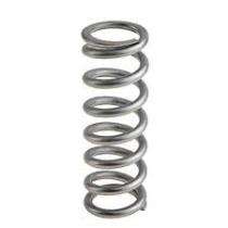 100 mm Coil Spring Stainless Steel 10 mm_0