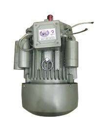ANG Single Phase 5 hp Foot and Flange Mounted AC Motors_0
