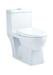 Parryware EWC with Seat Cover and Flush Grace One Piece Floor_0