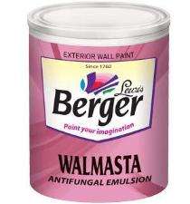 White Exterior Emulsion Paints 0.9 L_0