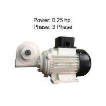 100 rpm Three Phase 0.25 hp Foot Mounted AC Motors_0