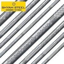 SHYAM STEEL 10 mm Fe 500D TMT Bars 12 m_0