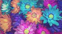 Wallpapers 3D Vinyl_0