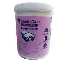 Asian Paints Pink Exterior Emulsion Paints 20 L_0