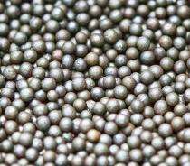Winoa Steel Metal Shots Grade M: 47-56 HRC_0